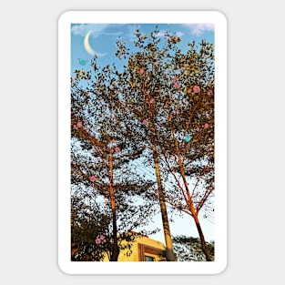 Moon behind the tree Sticker